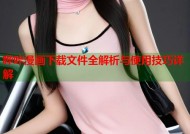 哔咔漫画下载文件全解析与使用技巧详解