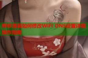 哔咔漫画如何修改WiFi DNS设置详细操作指南