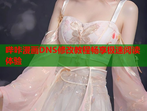 哔咔漫画DNS修改教程畅享极速阅读体验  第1张