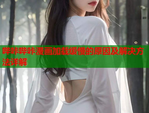 哔咔哔咔漫画加载缓慢的原因及解决方法详解  第1张