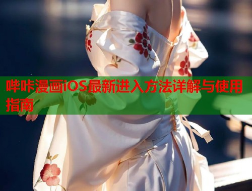 哔咔漫画iOS最新进入方法详解与使用指南  第1张