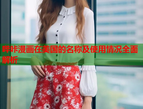 哔咔漫画在美国的名称及使用情况全面解析  第2张