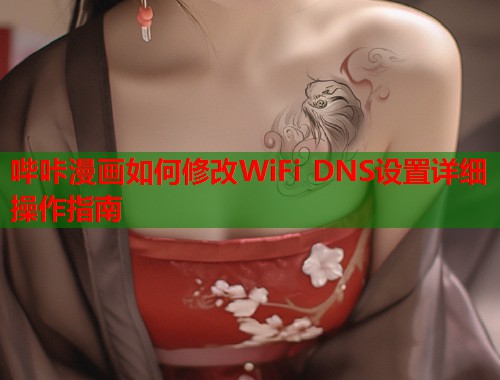 哔咔漫画如何修改WiFi DNS设置详细操作指南  第1张