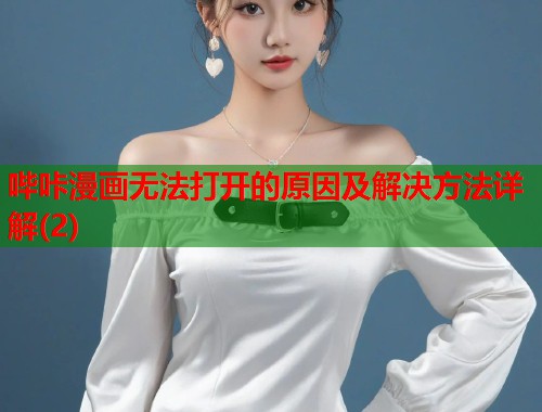 哔咔漫画无法打开的原因及解决方法详解(2)  第1张