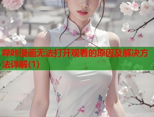 哔咔漫画无法打开观看的原因及解决方法详解(1)  第1张